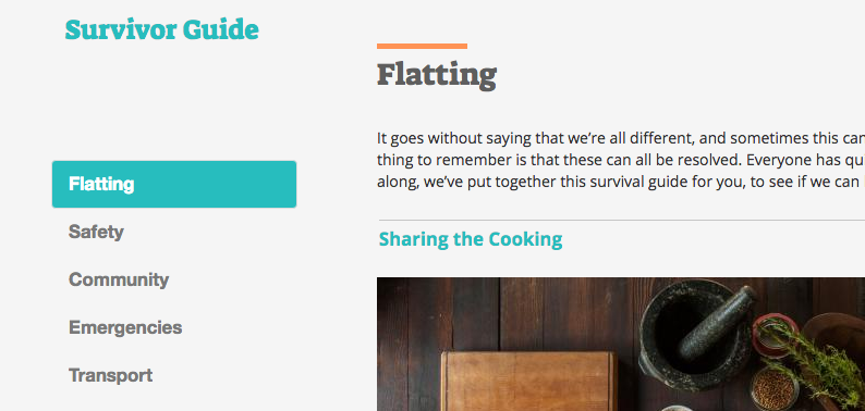 survivor guide navigation